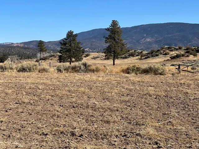 a view of a forest with mountains in the background