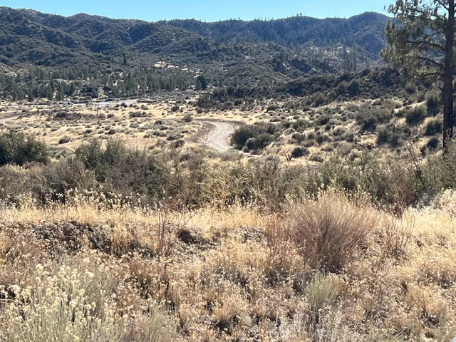 a view of a patio with table and chairs potted plants and floor to ceiling window and potted plants