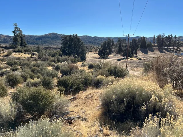 a view of a town with trees