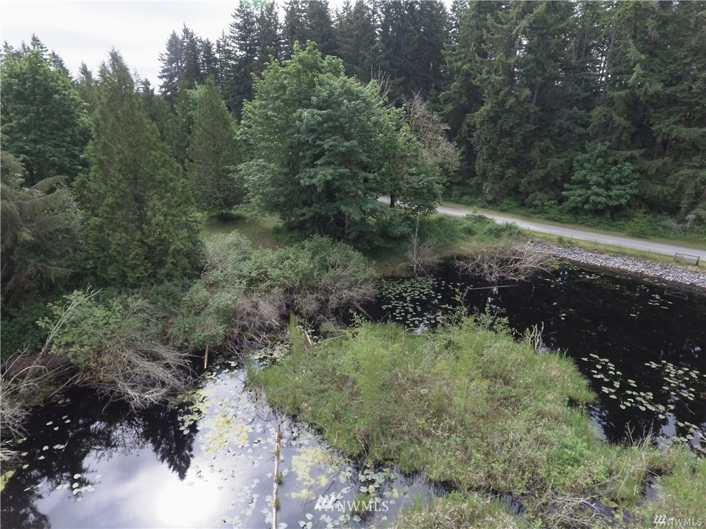 19123 Patterson Road East Orting, WA 98360 - Photo 11 of 16
