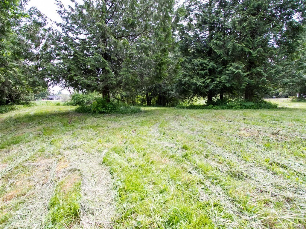 19123 Patterson Road East Orting, WA 98360 - Photo 7 of 16