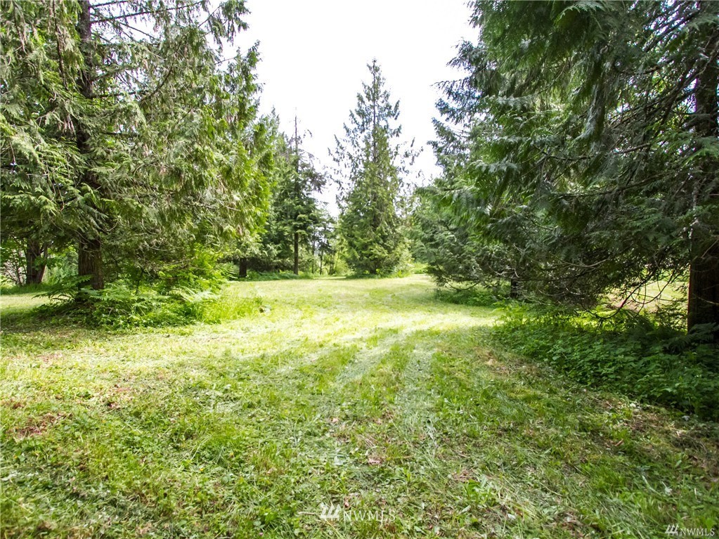 19123 Patterson Road East Orting, WA 98360 - Photo 8 of 16