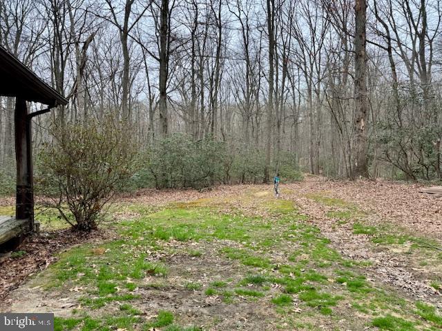 1644 Old Elk Neck Road Elkton, MD 21921 - Photo 27 of 29 a backyard of a house with lots of green space