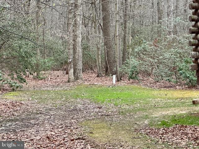 1644 Old Elk Neck Road Elkton, MD 21921 - Photo 29 of 29 a view of outdoor space and yard