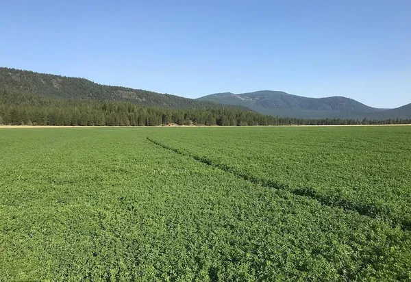 $4,200,000 | 18801 Leavers Lane, Macdoel, CA 96058