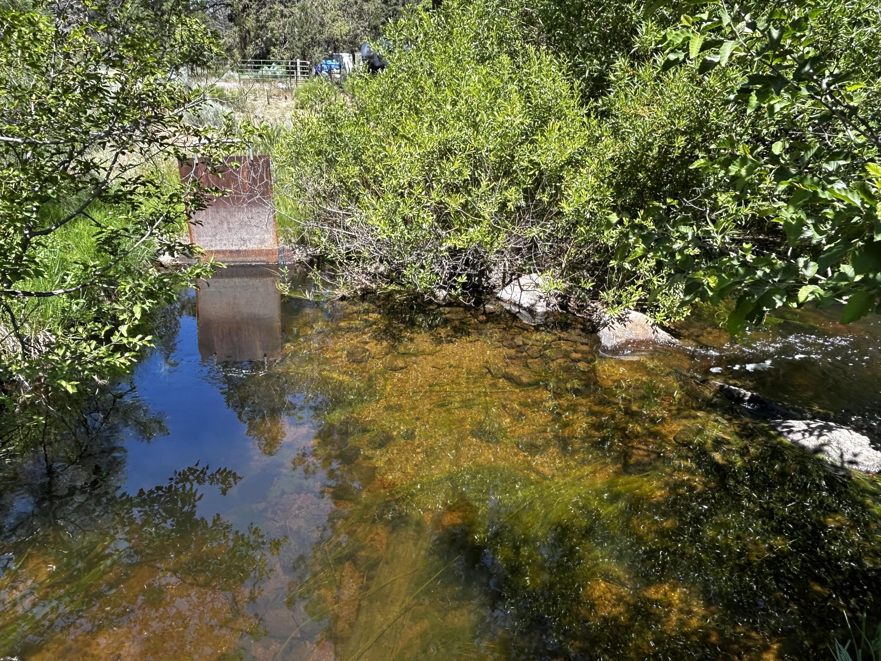 18801 Leavers Lane Macdoel, CA 96058 - Photo 14 of 36 a pathway of a yard