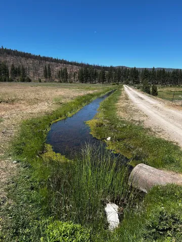 a view of a grassy field with trees in the background