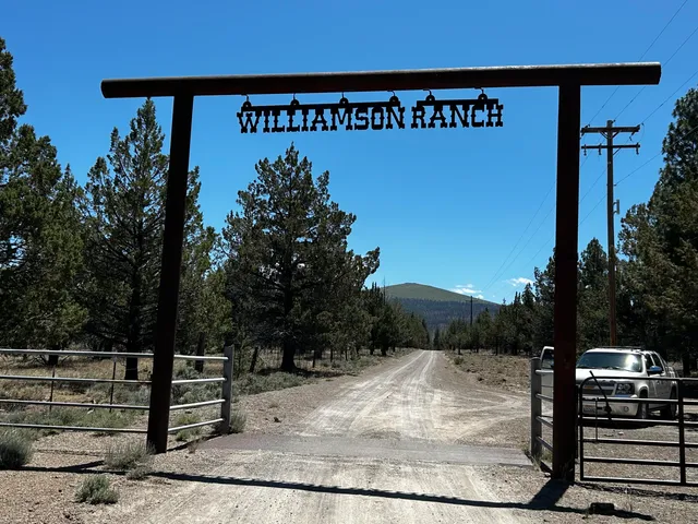 a view of a street with benches