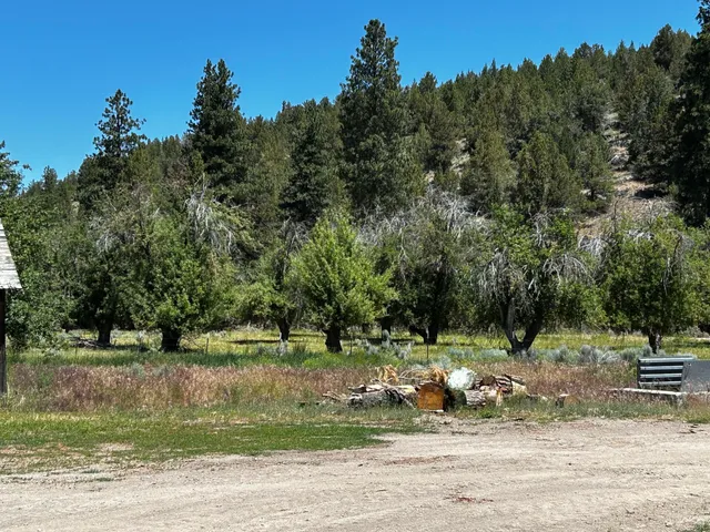 a view of a lake with a car parked