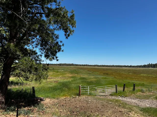a view of an ocean with beach
