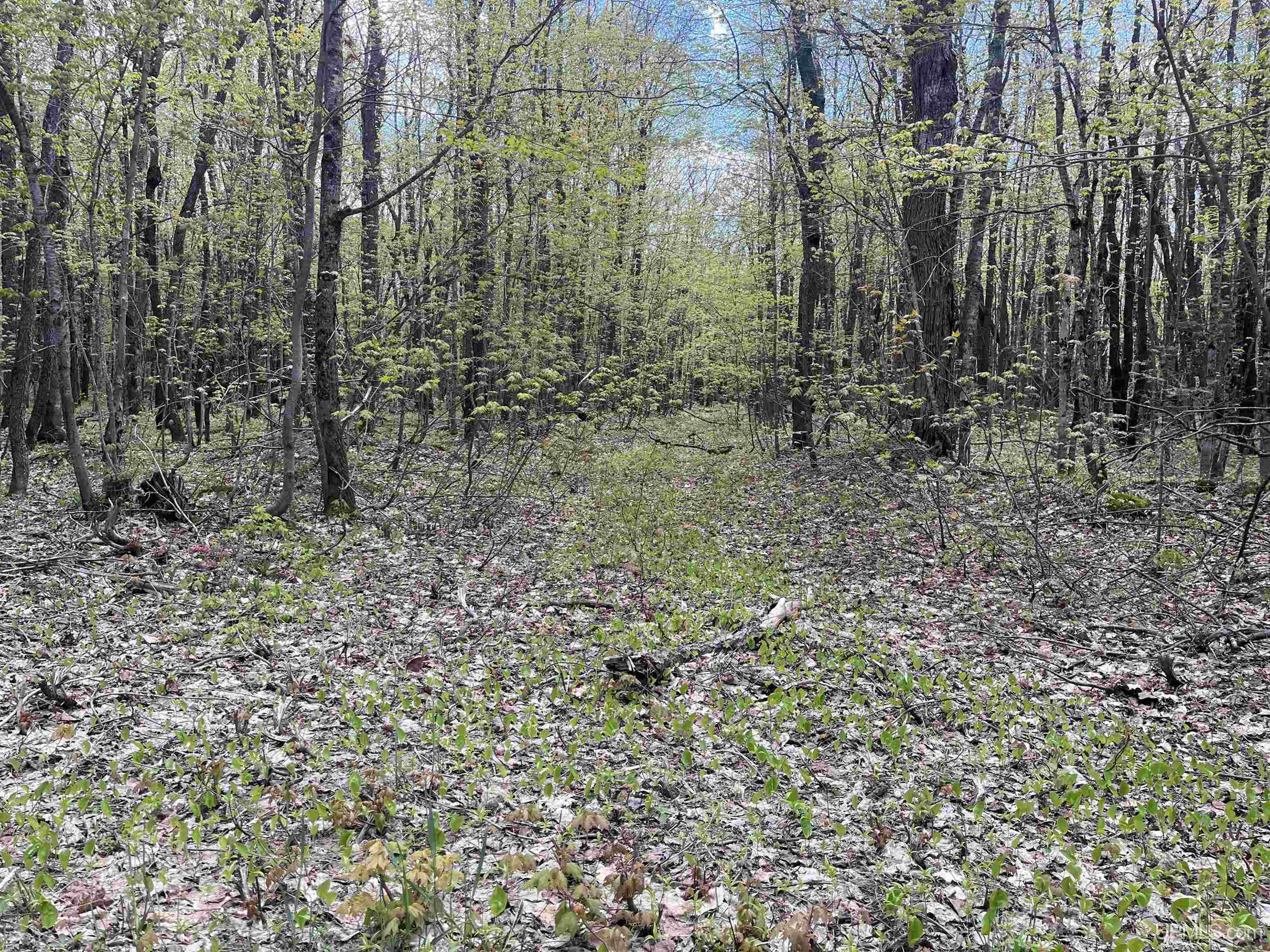 450 Rd Seney Mi 49883 Road Seney, MI 49883 - Photo 24 of 33