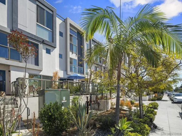 a view of a palm trees front of house