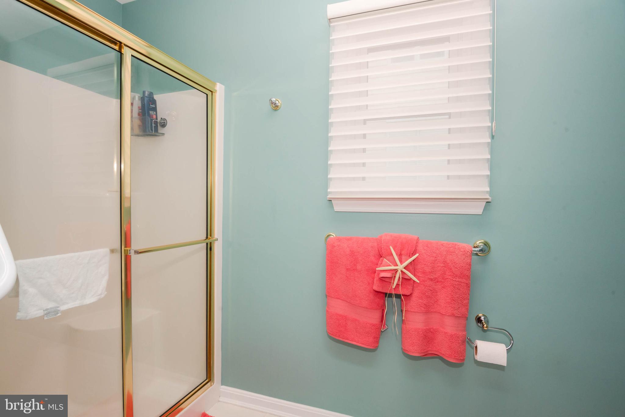 4 Leigh Drive Ocean Pines, MD 21811 - Photo 44 of 99 Primary 1st floor Bath