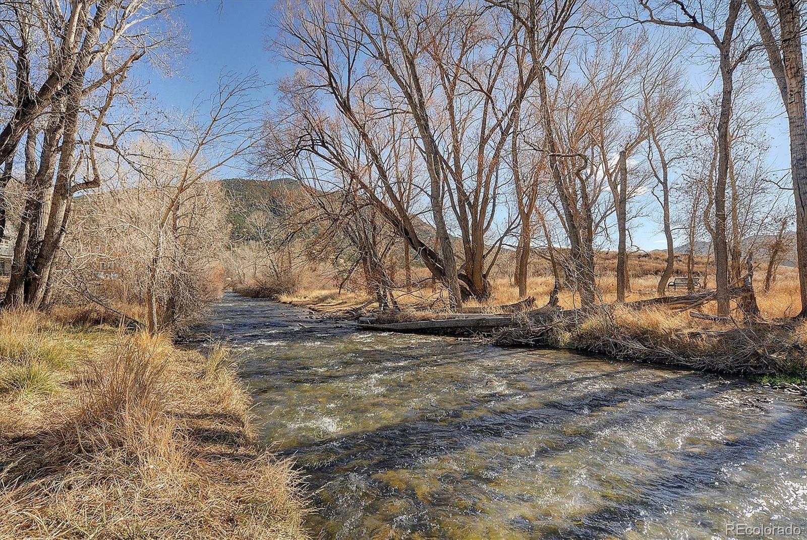 322 Two Rivers Road Salida, CO 81201 - Photo 16 of 18 a view of a yard with large trees