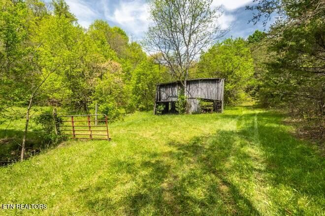 1428 Goodwater Road Bybee, TN 37713 - Photo 23 of 43 a backyard of a house with plants and large trees