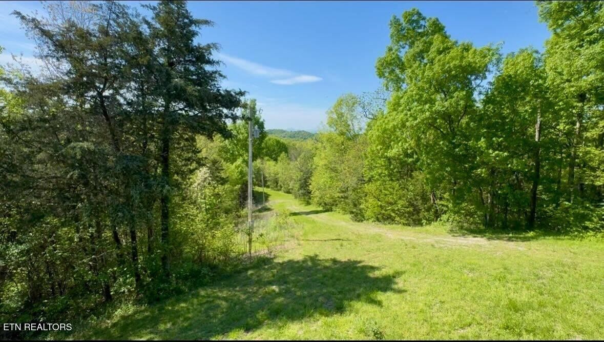 1428 Goodwater Road Bybee, TN 37713 - Photo 24 of 43 a view of yard with green space