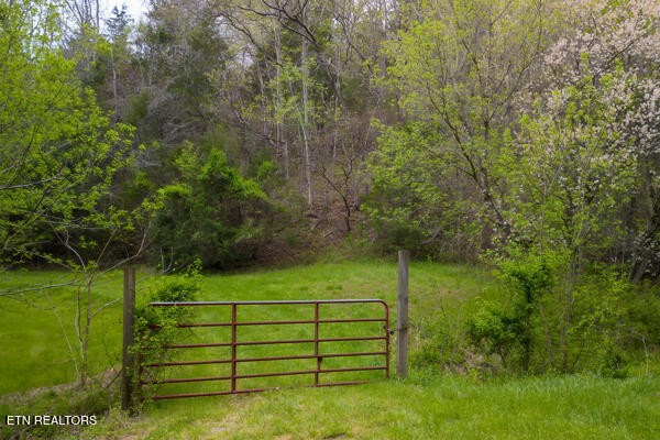 1428 Goodwater Road Bybee, TN 37713 - Photo 25 of 43 a view of a park