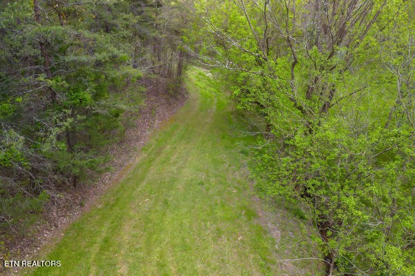 1428 Goodwater Road Bybee, TN 37713 - Photo 29 of 43 a view of a yard with a tree
