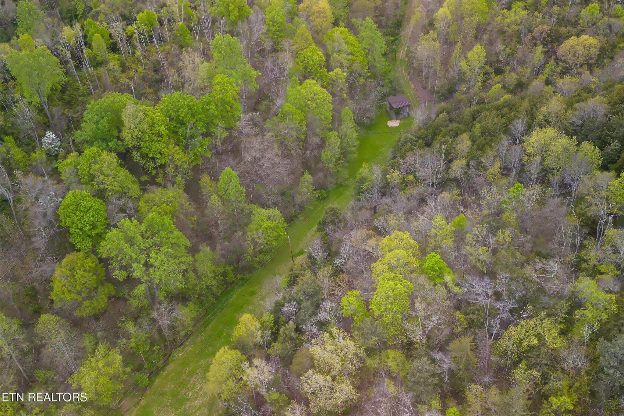 1428 Goodwater Road Bybee, TN 37713 - Photo 30 of 43 a backyard of a building