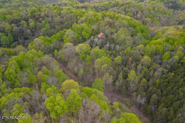 1428 Goodwater Road Bybee, TN 37713 - Photo 31 of 43 a view of a garden with plants