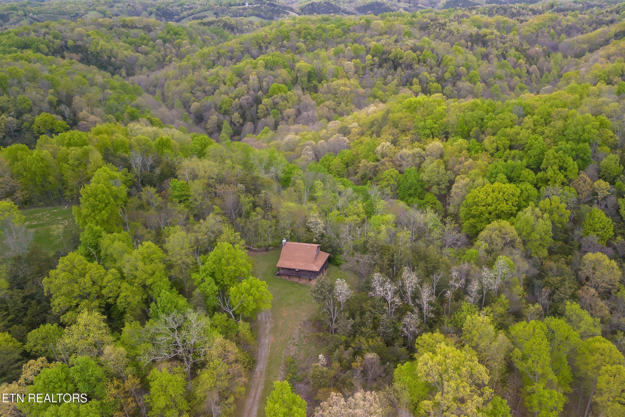 1428 Goodwater Road Bybee, TN 37713 - Photo 32 of 43