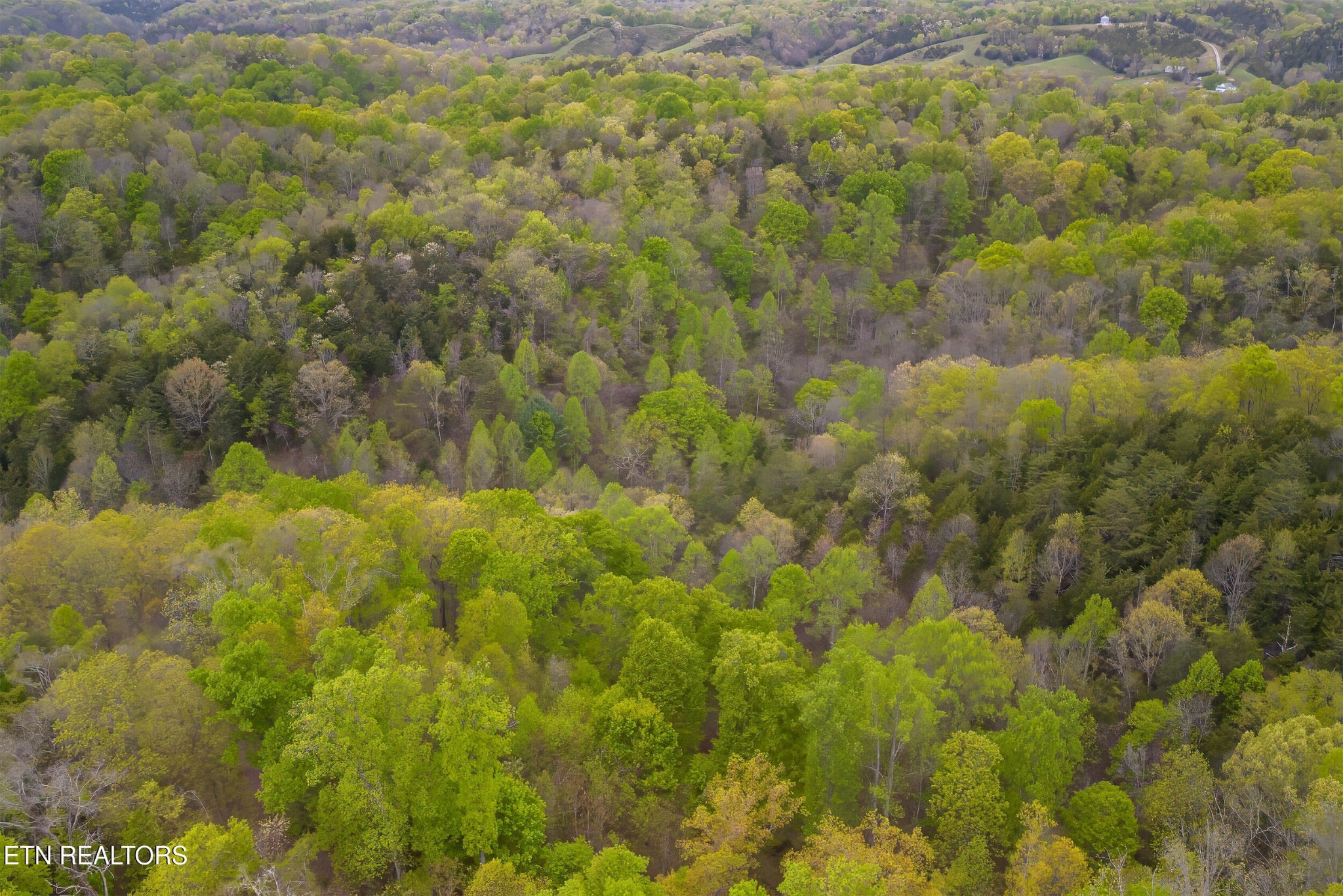 1428 Goodwater Road Bybee, TN 37713 - Photo 35 of 43 a view of a yard