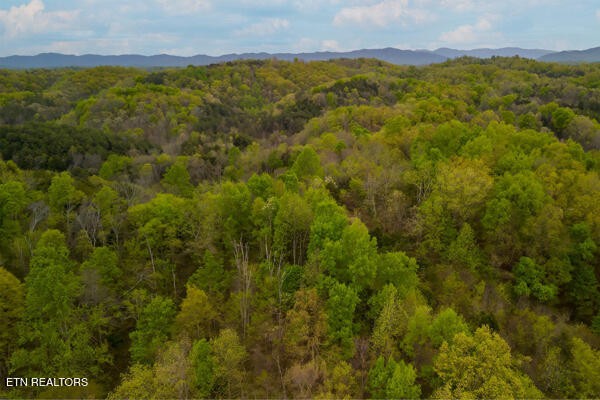 1428 Goodwater Road Bybee, TN 37713 - Photo 36 of 43