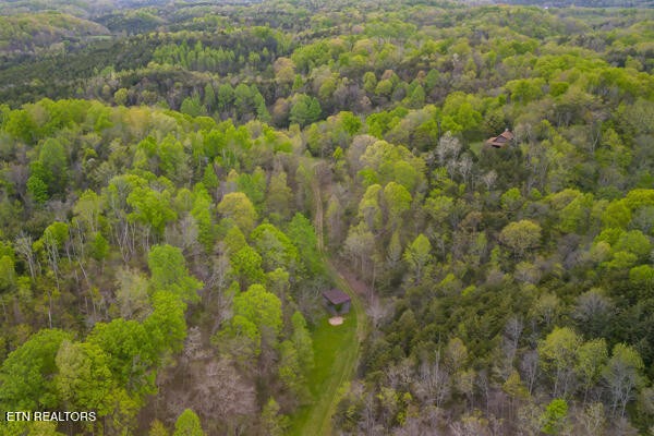 1428 Goodwater Road Bybee, TN 37713 - Photo 37 of 43 a view of a forest