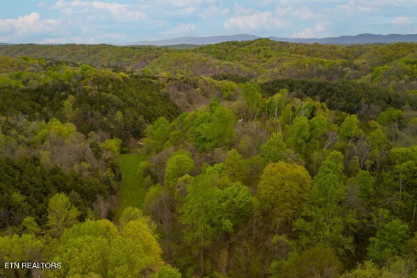 1428 Goodwater Road Bybee, TN 37713 - Photo 38 of 43 a view of an ocean