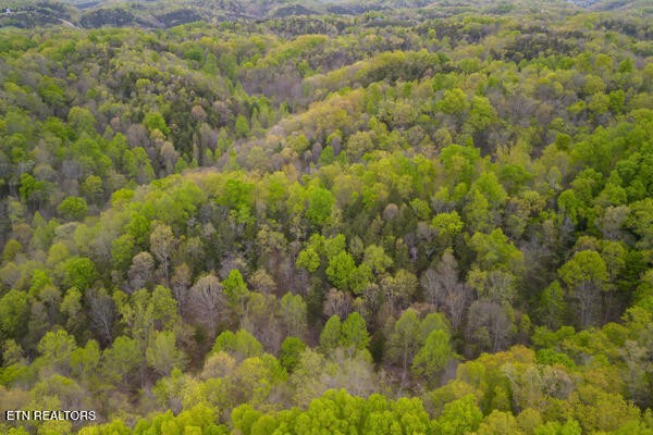 1428 Goodwater Road Bybee, TN 37713 - Photo 39 of 43 a view of a yard