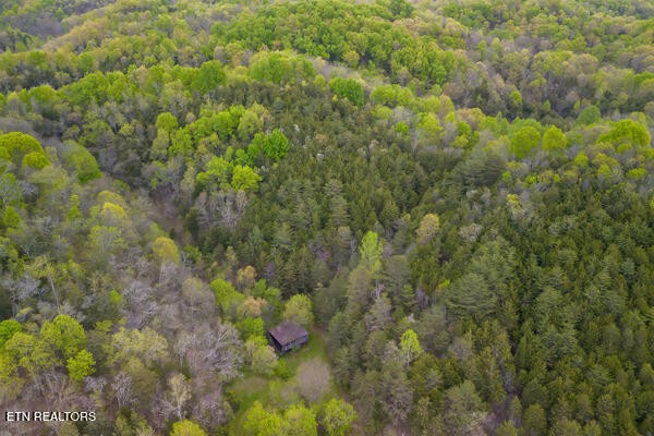 1428 Goodwater Road Bybee, TN 37713 - Photo 40 of 43 a view of a forest with houses