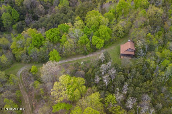 1428 Goodwater Road Bybee, TN 37713 - Photo 42 of 43 a backyard of a house with a yard and outdoor seating