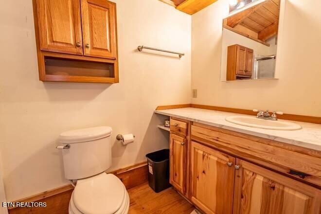 1428 Goodwater Road Bybee, TN 37713 - Photo 10 of 43 a bathroom with a toilet a sink and mirror