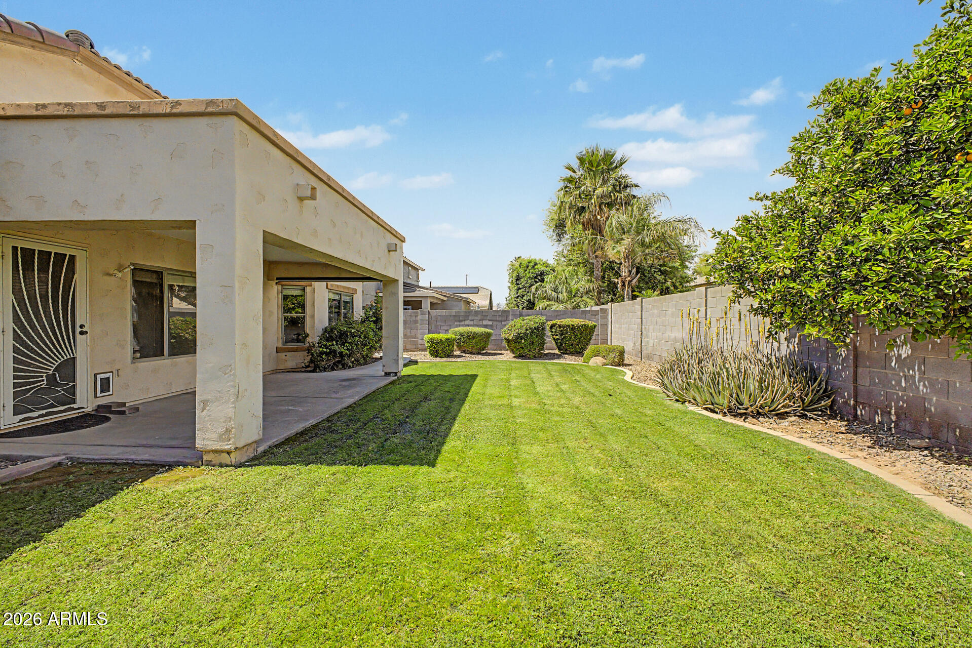 3546 East Fairview Street Gilbert, AZ 85295 - Photo 20 of 27 Backyard4