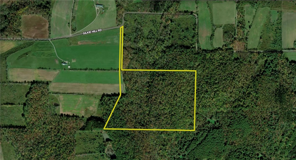 Hill Road Spencer, NY 14883 - Photo 45 of 48