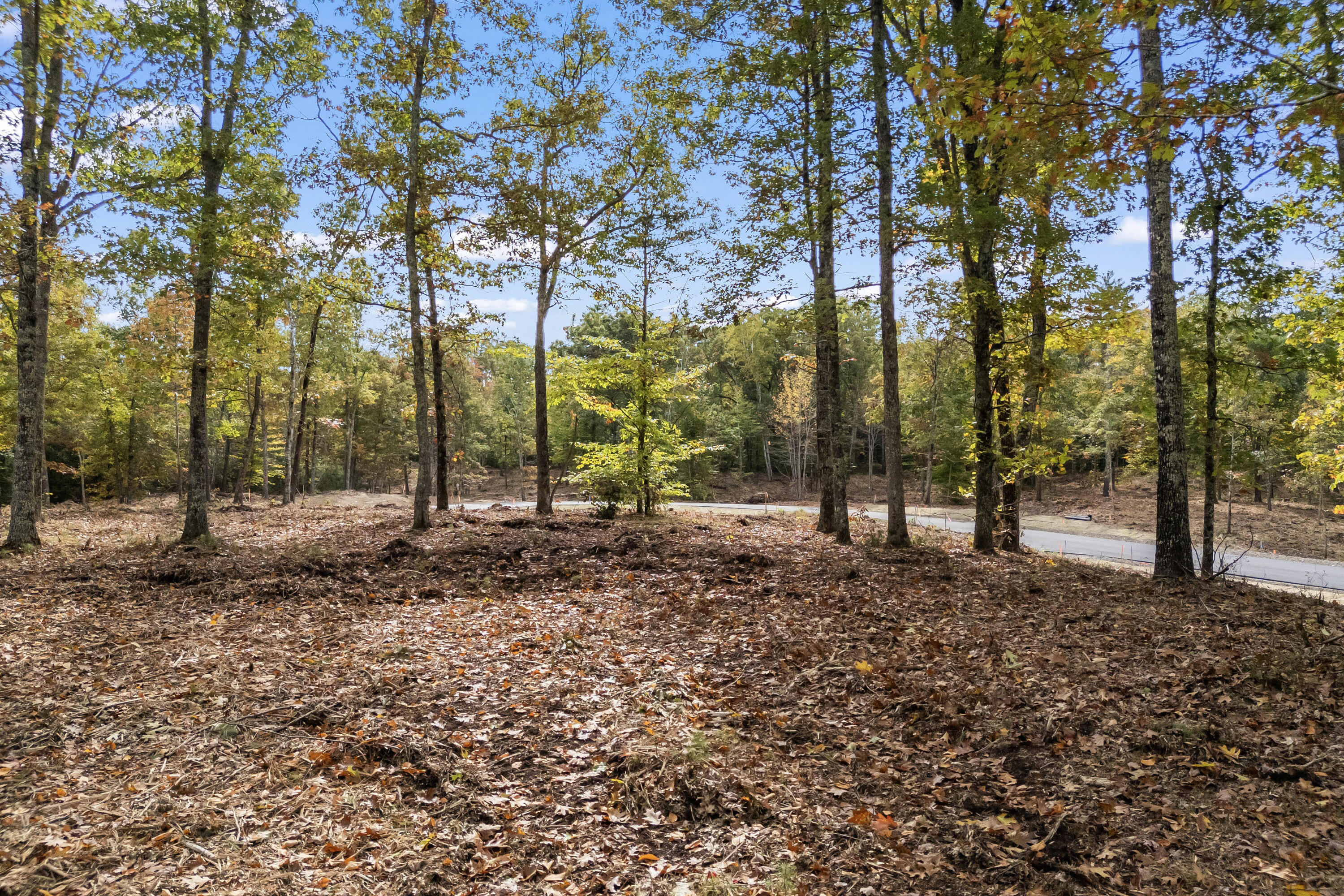 Tbd Tbd Ridge Terrace, Unit LOT 4 North Berwick, ME 03906 - Photo 2 of 8 Lot 4 Sand Ridge, North Berwick