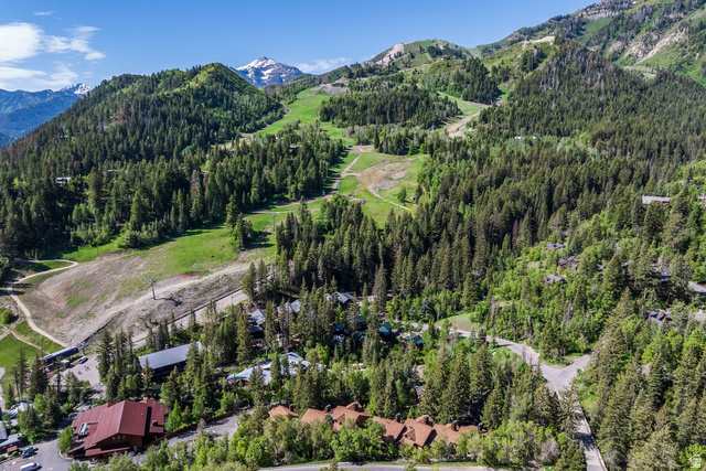 8841 North Alpine Loop Road, Unit 3 Provo, UT 84604 - Photo 77 of 78
