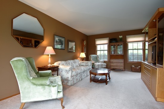 1462 South Tyler Road St. Charles, IL 60174 - Photo 2 of 10