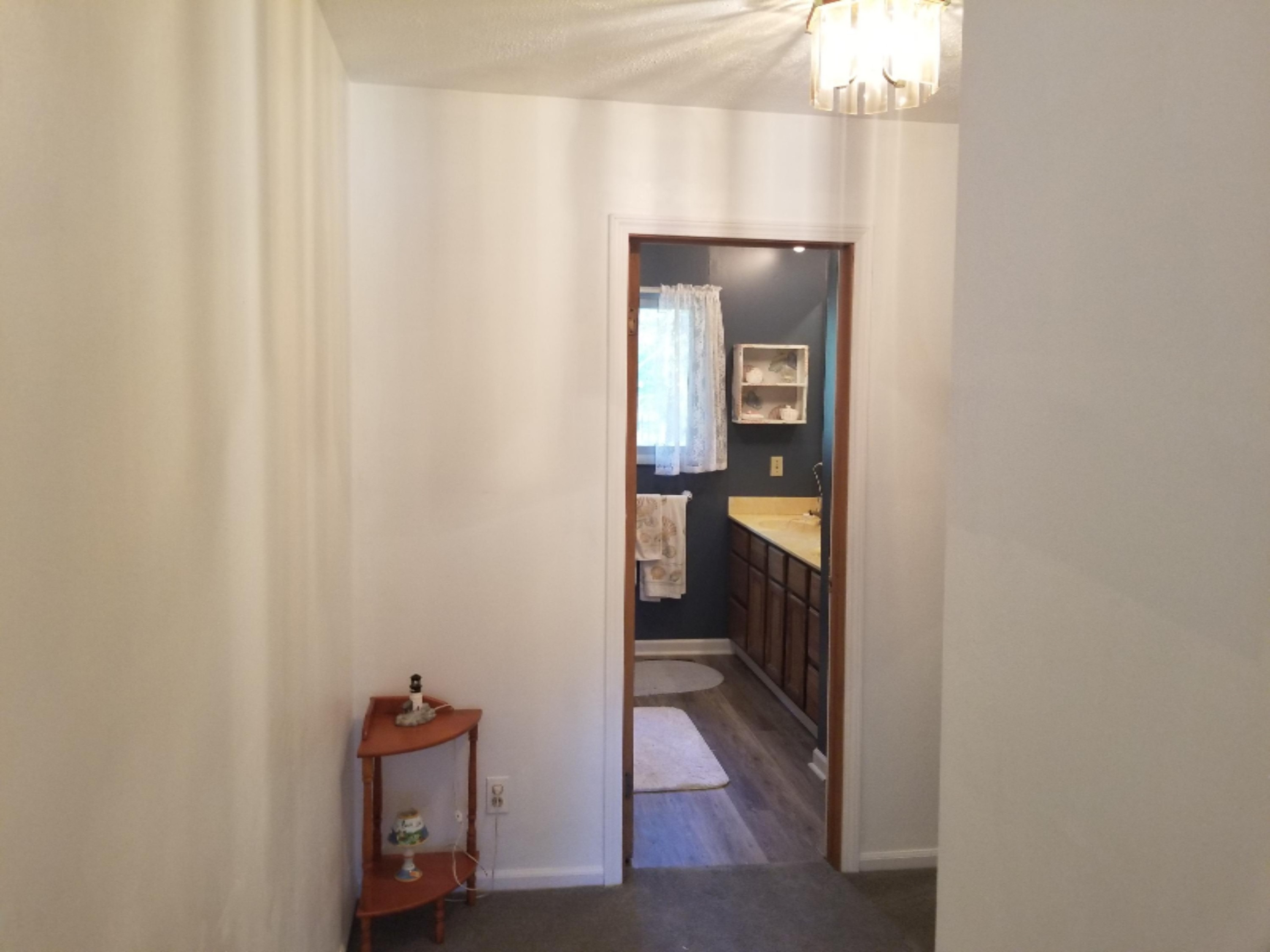 452 North Jack Pine Road Fountain, MI 49410 - Photo 28 of 29 20190920_135423
