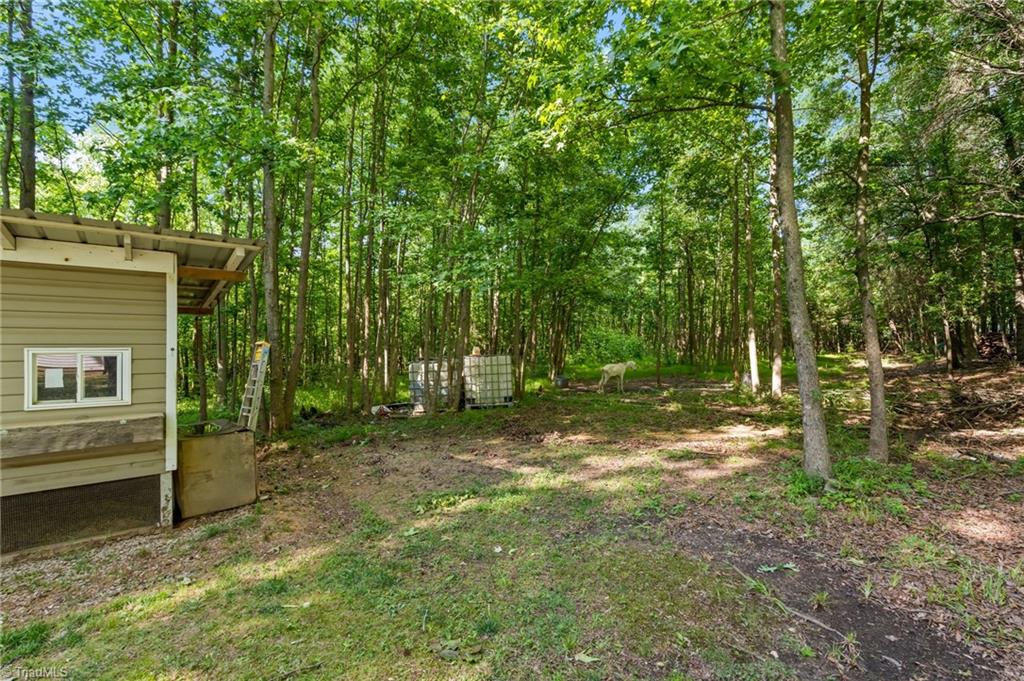 5133 Lewis Brown Road Bennett, NC 27208 - Photo 44 of 50 Gallery Image 44