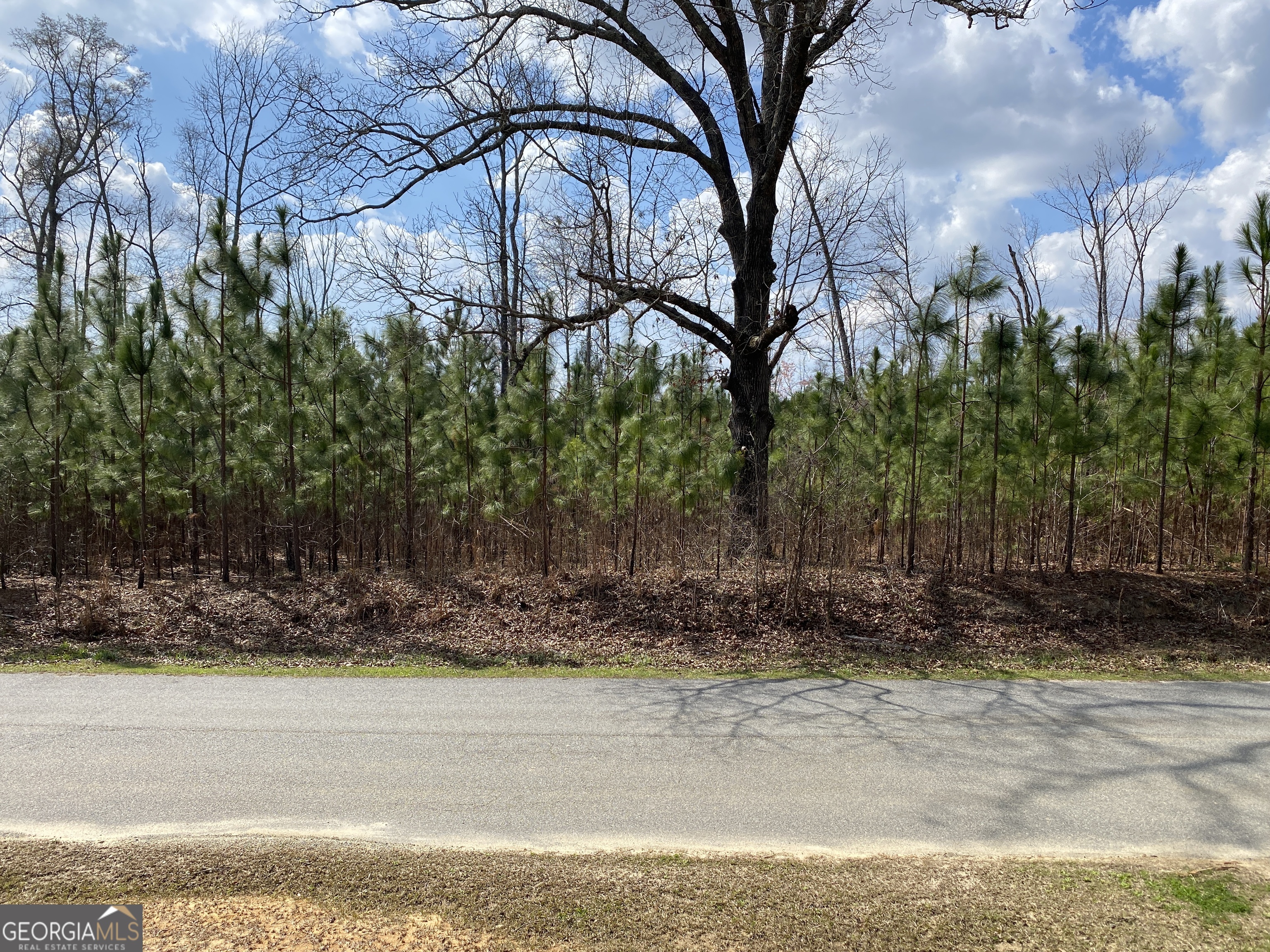 3 Baker Road Waverly Hall, GA 31831 - Photo 1 of 6