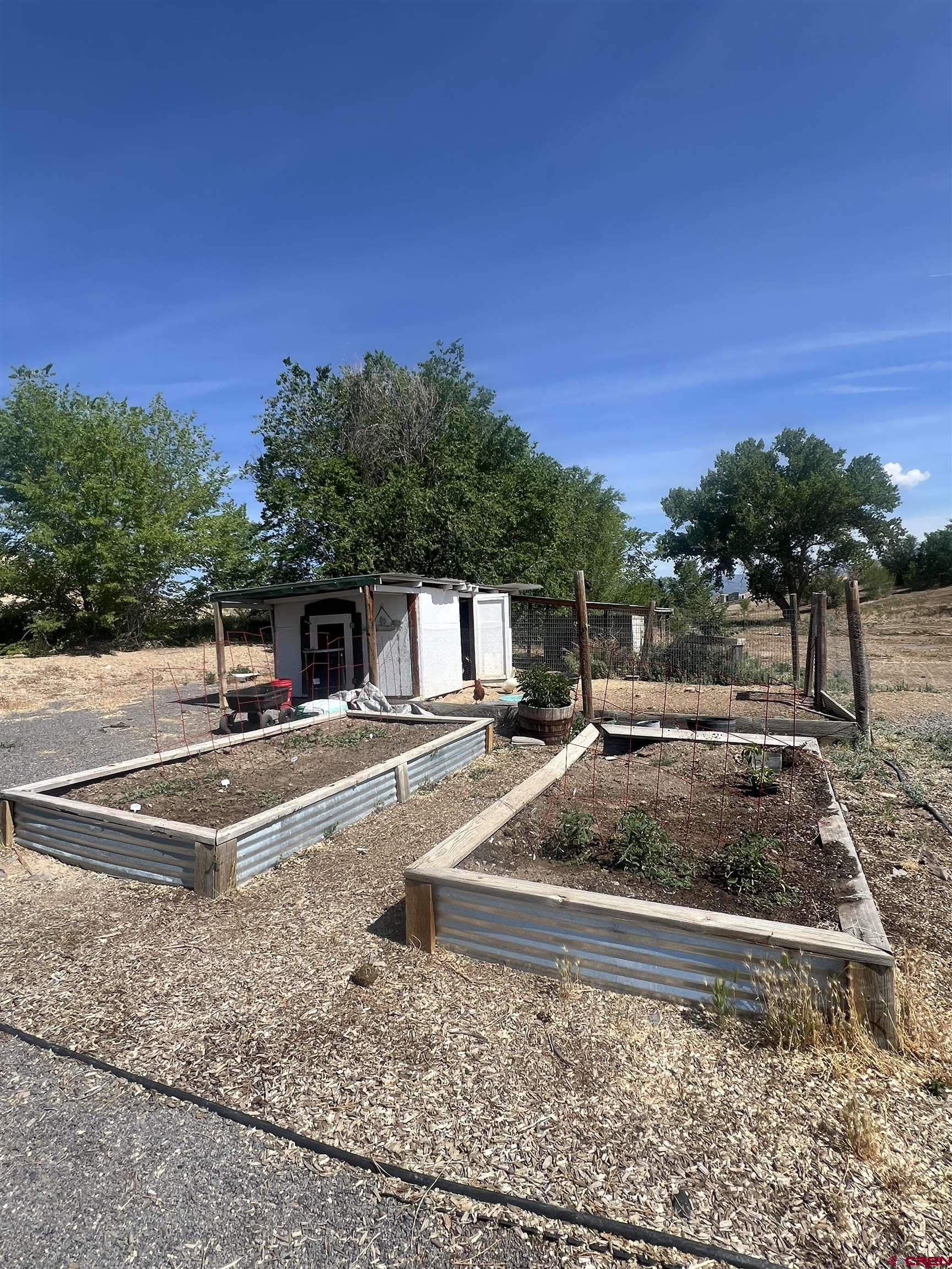 20691 Fairview Road Austin, CO 81410 - Photo 31 of 42 a view of a yard with cars