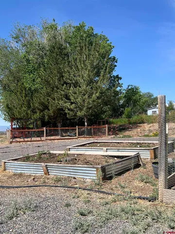 a view of a swimming pool with a yard
