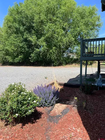 a view of a backyard