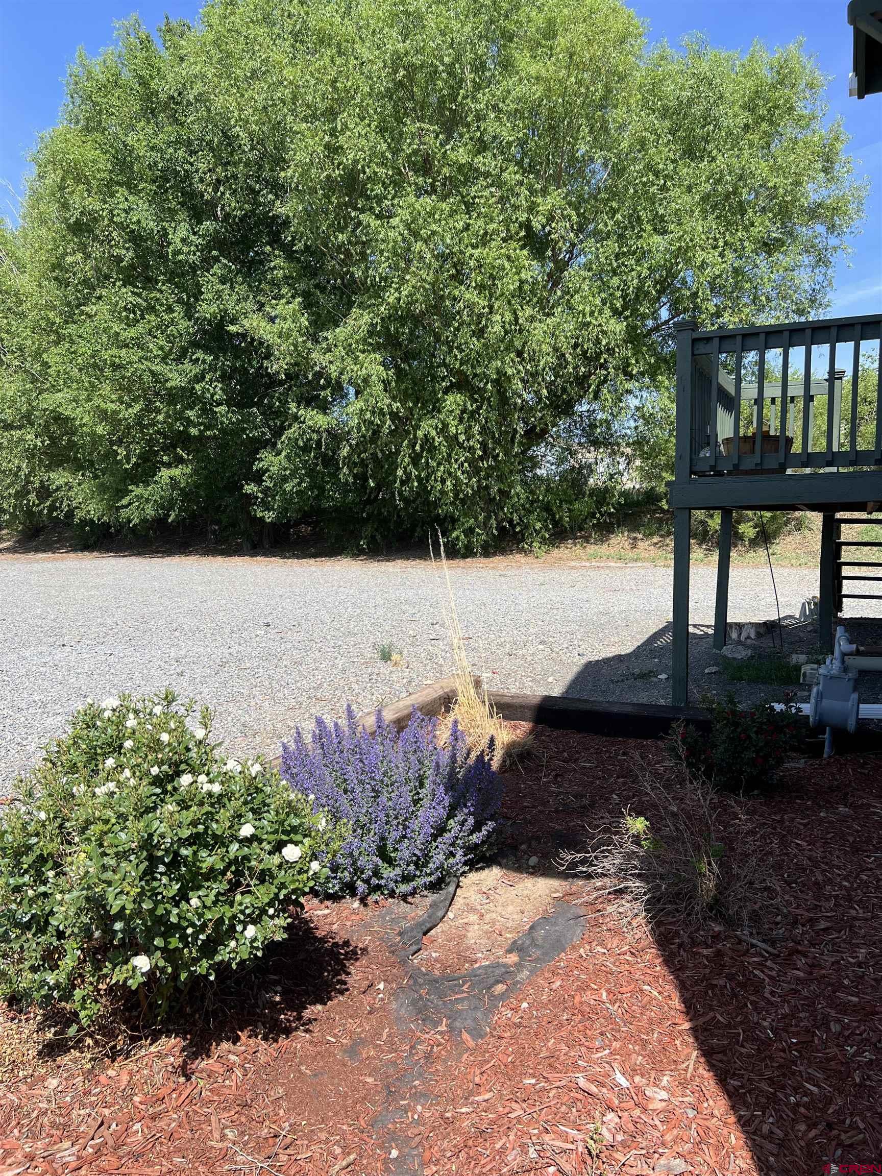 20691 Fairview Road Austin, CO 81410 - Photo 37 of 42 a view of a backyard