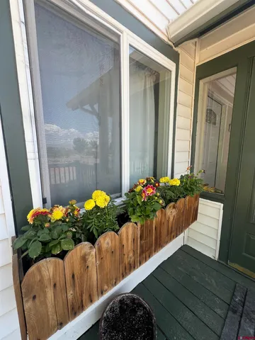 a bunch of flowers in back of the house