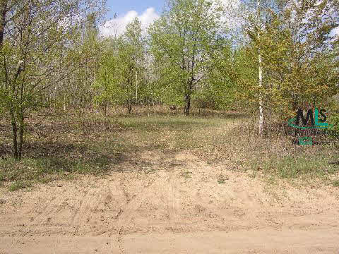 0 Joshua Road Cass City, MI 48726 - Photo 4 of 6 879325-3.JPG