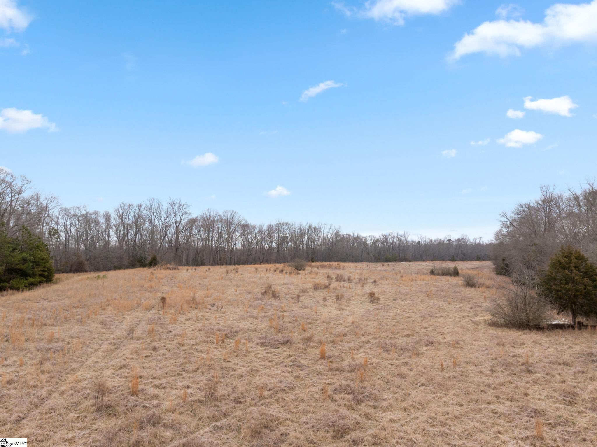 1709 River Road Woodruff, SC 29388 - Photo 11 of 28