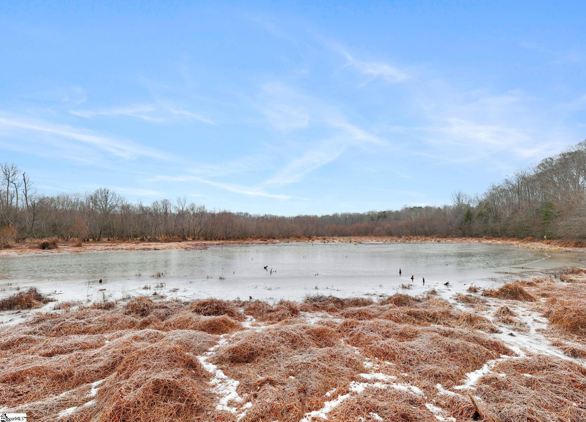 1709 River Road Woodruff, SC 29388 - Photo 13 of 28