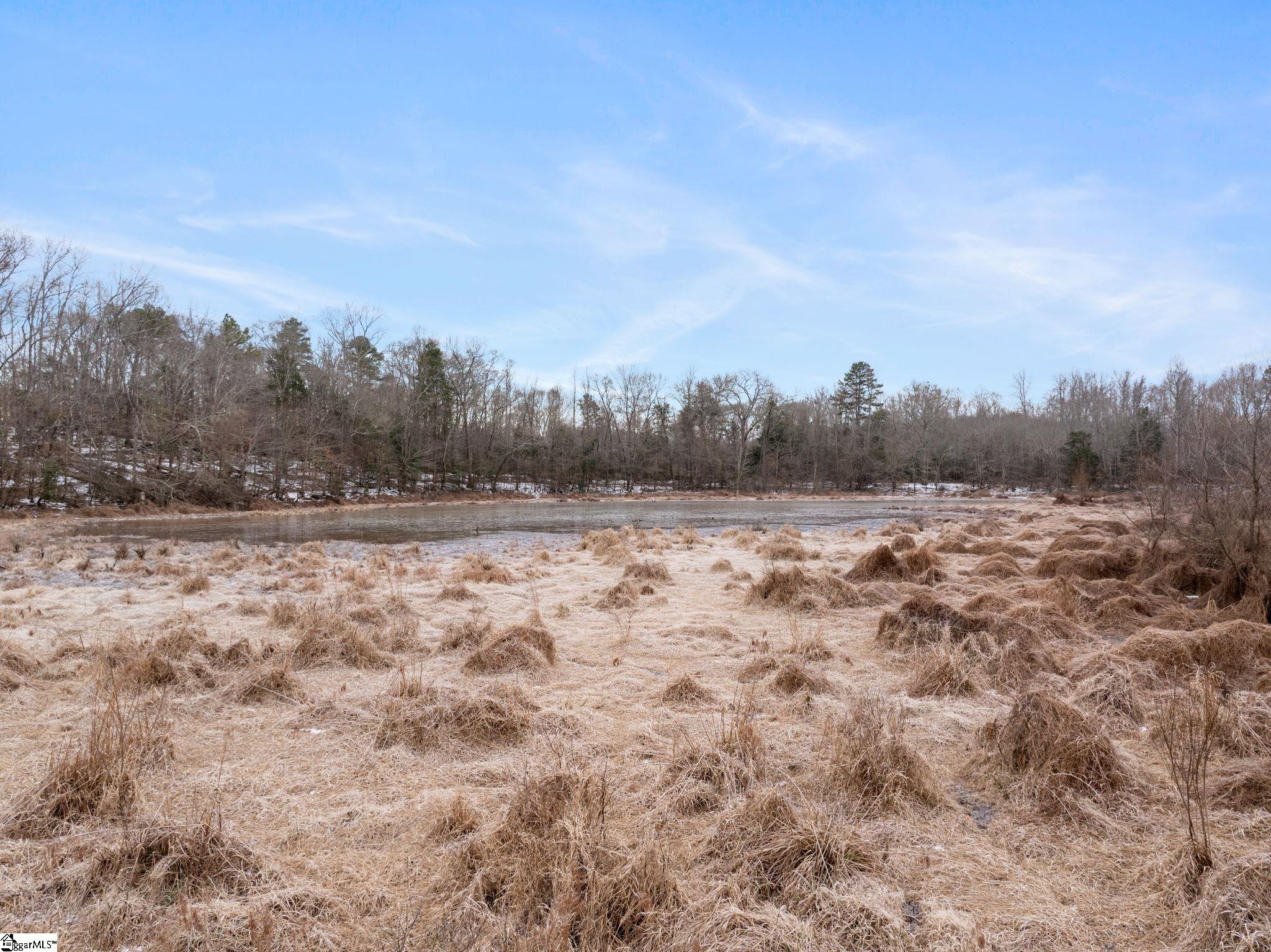 1709 River Road Woodruff, SC 29388 - Photo 14 of 28